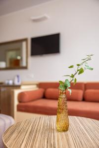 TV a/nebo společenská místnost v ubytování Info Hotel