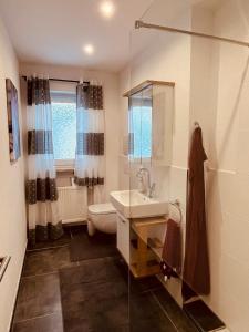 a bathroom with a sink and a toilet and a shower at Ferienwohnung Elfi in Kirchdorf im Wald