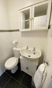 a white bathroom with a toilet and a sink at NEW Super 2 Bedroom Flat in Falkirk in Falkirk