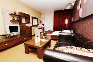 TV a/nebo společenská místnost v ubytování City Hotel Nitra with free parking