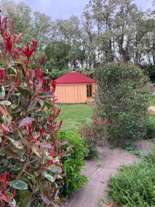 un jardín con una pequeña casa en el fondo en DES BRANCHES & VOUS, en Châteauneuf-sur-Isère