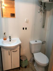 A bathroom at Domek letniskowy w Chojnie
