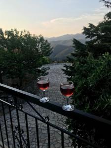 アンドリツェナにあるGourgiana Apartmentsの赤ワイン二杯