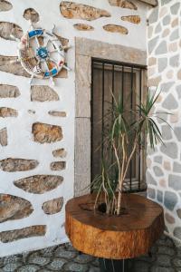 a plant on a wooden table in front of a building at Akkan Hotel in Bodrum City