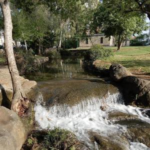 a small waterfall on a rock in a park at דירה ירוקה על הנחל in Qiryat Shemona