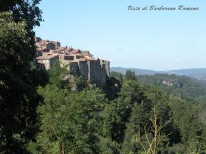 a castle on top of a hill with trees at antica dimora in Barbarano Romano