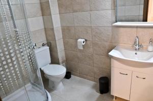 y baño con aseo, lavabo y ducha. en Casa Mario, en Sibiu