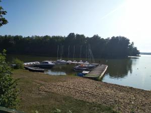 a group of boats docked at a dock on a lake at Oleandria-,, Domek Jagódka "nr 28 in Biskupiec