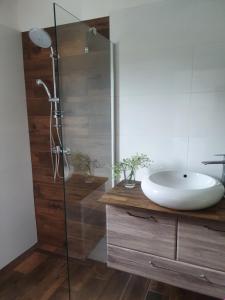 a bathroom with a sink and a glass shower at Chalupa Pasečná in Přední Výtoň