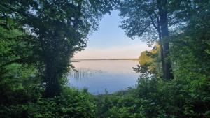 a view of a lake through the trees at Oleandria-,, Domek Jagódka "nr 28 in Biskupiec