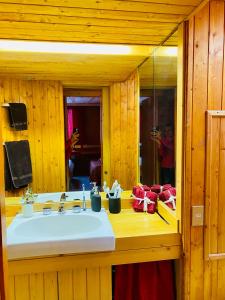 a bathroom with a sink and a mirror at Foemina in Faidello