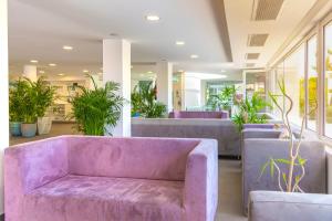 a purple couch in a lobby with plants at Hyde Park Lane in Puerto del Carmen