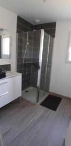 een badkamer met een douche en een wastafel bij Maison neuve 66 bis in Saint-Martin-la-Rivière +33 foto's