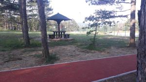 una mesa de picnic con una sombrilla en un parque en Apartment Niva, en Zlatibor 28 fotos más