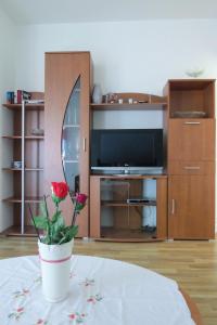 Televízia a/alebo spoločenská miestnosť v ubytovaní Klara's apartments