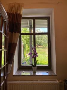 Vonkajšia záhrada v ubytovaní Dragonfly