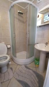 a bathroom with a shower and a toilet and a sink at Apartments Darinka in Opatija +49 photos