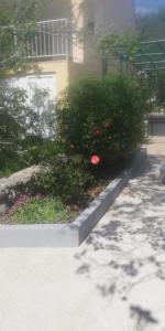 Zahrada ubytování Kuća za odmor MANA