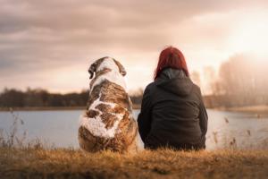 a person and a dog sitting next to a lake at Am Achterwasser DORF 12 in Rankwitz