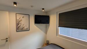 TV a/nebo společenská místnost v ubytování Hausboot Wangermeerblick (Floating Home)
