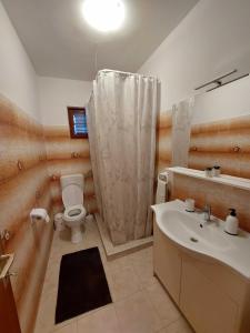 a bathroom with a sink and a toilet and a shower at Apartment Dominik in Smokvica