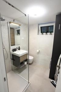 a bathroom with a shower and a sink and a toilet at Modern Apartment Parenzana IZMA in Portorož +26 photos