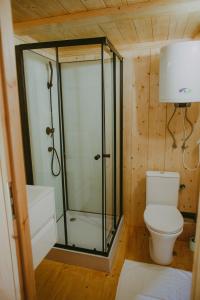 ein Badezimmer mit Toilette und Glasdusche in der Unterkunft Szczere Pole in Karpacz