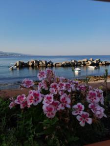 un ramo de flores rosas delante del agua en La casa di Ale, en Messina