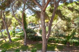 A garden outside Apartamento Ferrera Park 617