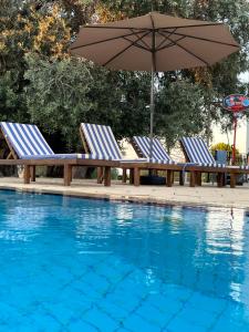 Vasilia的住宿－Villa Zeytin，游泳池旁的三把躺椅和一把遮阳伞