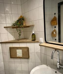 Kúpeľňa v ubytovaní Vrijstaande luxe vakantiewoning met grote tuin, veel privacy en prachtige natuur
