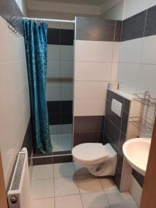 Bilik mandi di Garsónky v rodinnom dome Nitra-Lužianky