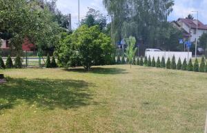 Ogród w obiekcie Apartament Magnolia -centrum