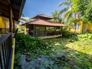 Zahrada ubytování Nokkamin Home Chiang Dao