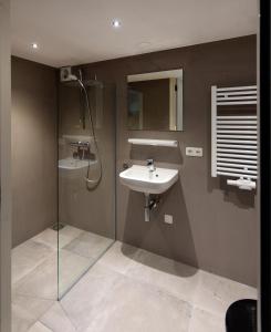 La salle de bains est pourvue d'un lavabo et d'une douche. dans l'établissement Folkshegeskoalle Schylgeralân, à Hoorn