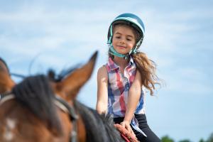 Hosté ubytování Pod Dębami Domki ,Pokoje,Nauka jazdy konnej Sarbsk obok Łeby + 105 fotografií