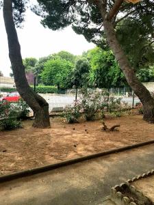 Zdjęcie z galerii obiektu CHEZ CHRYSTEL ET PIERRE appartement au calme à 10mn de la mer, place de parking privée dans la résidence w Béziers