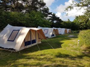 a row of tents sitting in the grass at Ameland Tentenverhuur in Nes