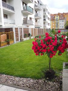 Fotografia z galérie ubytovania Świnoujście Platan Patio 2- Berry apartments v destinácii Świnoujście