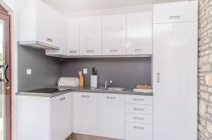 Kuchyň nebo kuchyňský kout v ubytování Apartments Drazen