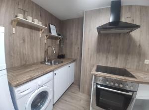Kuchyň nebo kuchyňský kout v ubytování Apartamento Cameros