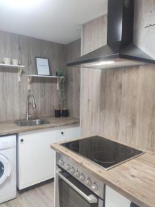 Kuchyň nebo kuchyňský kout v ubytování Apartamento Cameros + 7 fotografií
