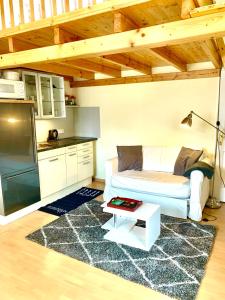 Kuchyňa alebo kuchynka v ubytovaní Executive Apartement Gastein