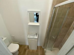 a bathroom with a toilet and a shower at The Bay En-suite Room in Plymouth