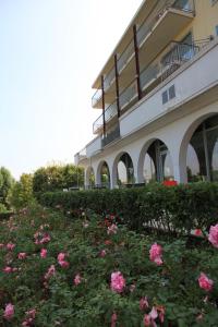Zahrada ubytování Hotel Rivus