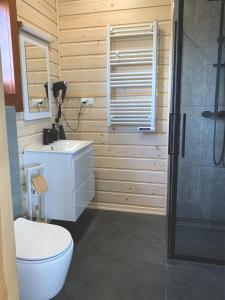 un bagno con wc, lavandino e doccia di Domki pod Czarną Górą a Idzików