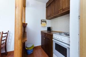 Kuchyňa alebo kuchynka v ubytovaní Apartments Tugomila