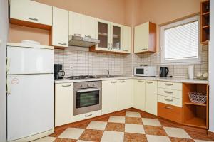 Kuchyň nebo kuchyňský kout v ubytování Apartments Zinfandel Vodice