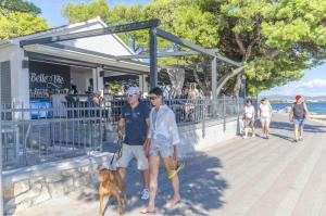 Hosté ubytování Apartments Zinfandel Vodice