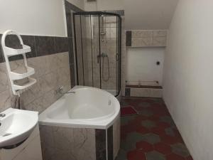Koupelna v ubytování Apartmán Měňany + 13 fotografií